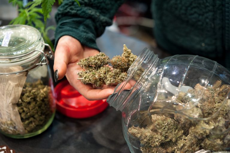 A Blossoming Wellness Trend: Delta 8 THC Flower’s Impact on Health