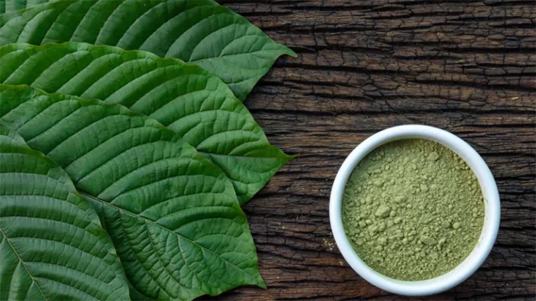 Discover the Essence of Excellence: High-Quality Kratom Products Unveiled